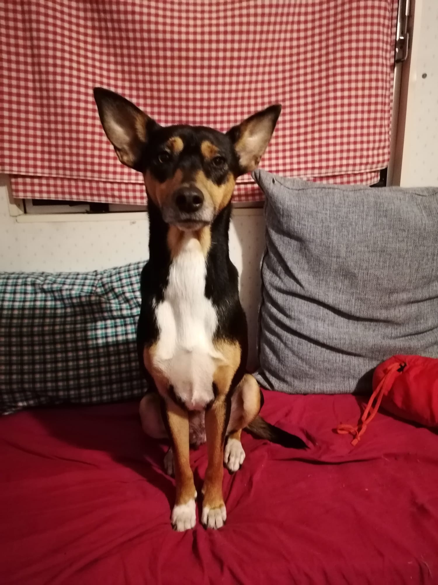 Karel en Hilde uit Zaventem Belgie